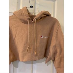 champion cropped hoodie